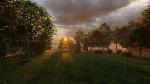 Sunset in the forest with trees and grass, 3d render Stock Illustration