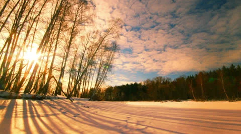 Sunset forest winter landscape, time-lapse. Vidéo 26988953