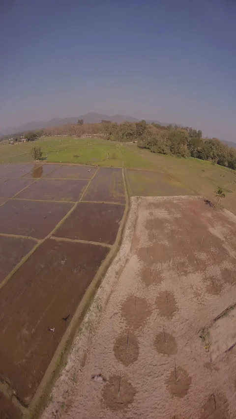 Sunset FPV Flyover of Lush Rice Fields - Serenity and Adventure 03 Stock Footage 301366787