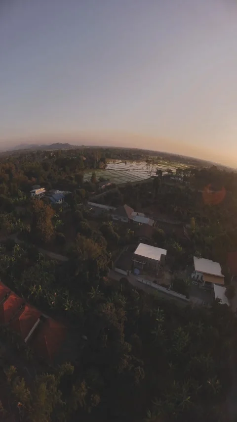 Sunset FPV Flyover of Lush Rice Fields - Serenity and Adventure 04 Stock Footage 301366848
