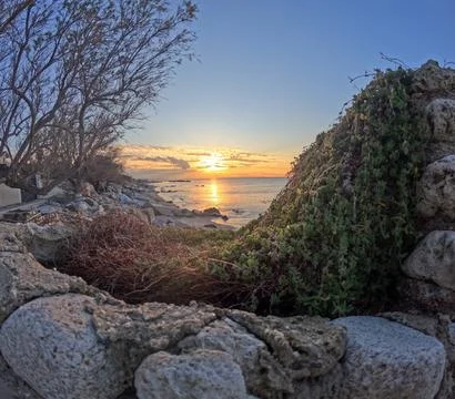 Sunset framed by nature. Stock Photos
