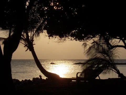 Sunset framed by palmtrees Stock Photos