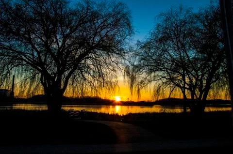 Sunset framed through trees Stock Photos