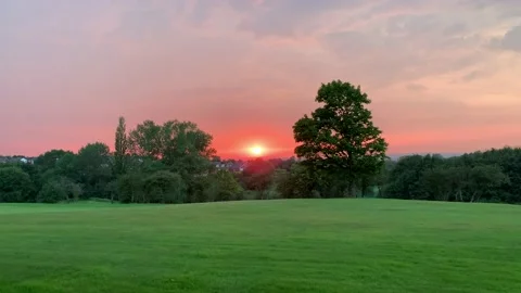Sunset framed by two trees. Stock Footage 137645564