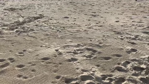 Sunset is For Free (v1) Vídeos de archivo 154552898