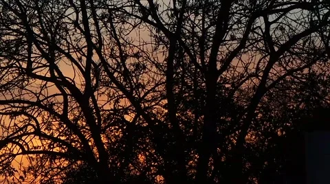 Sunset in the French campaign Stock Footage 58149063