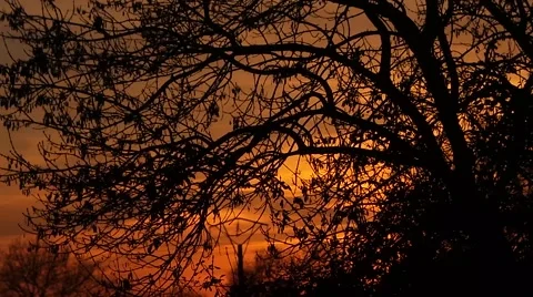 Sunset in the French campaign Stock Footage 58149078