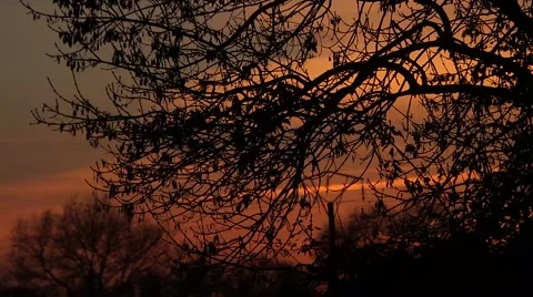 Sunset in the French campaign Stock Footage 58149079