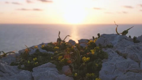 Sunset in front of the ocean, west Sardinia, Mediterranean Sea Stock Footage 243261152