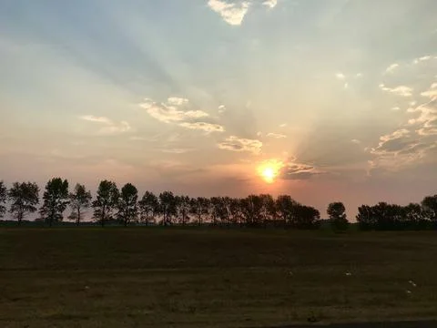 Sunset in front of a row of trees, in Argentinean pampas Stock Photos