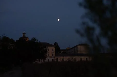 Sunset with full moon in the sky between the branches of the trees. Red moon. Stock Photos
