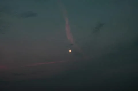 Sunset with full moon in the sky between the branches of the trees. Red moon. Stock Photos