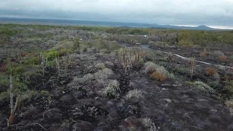 Sunset in Galapagos, Ecuador Stock Footage 261462073