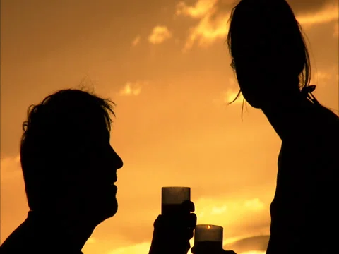 Sunset game drive Stock Footage 27359465