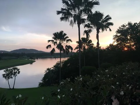 Sunset in the garden Stock Photos