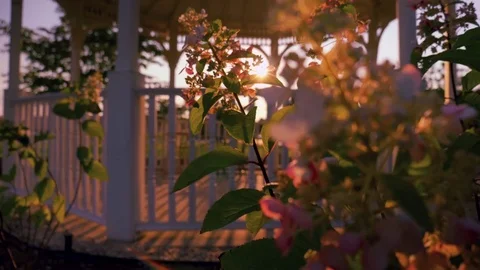 Sunset Gazebo Dolly Shot Video stock 78504556
