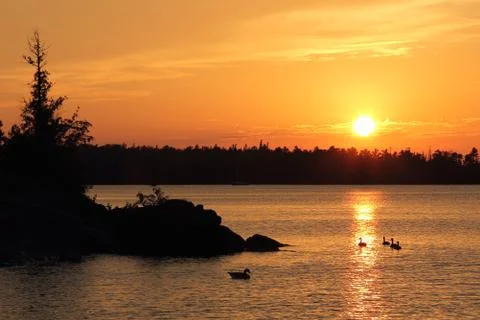 Sunset - with geese Stock Photos