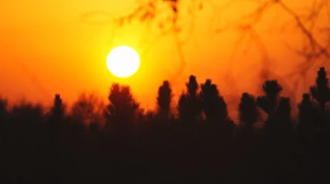 Sunset Georgia Stock Footage 36546888
