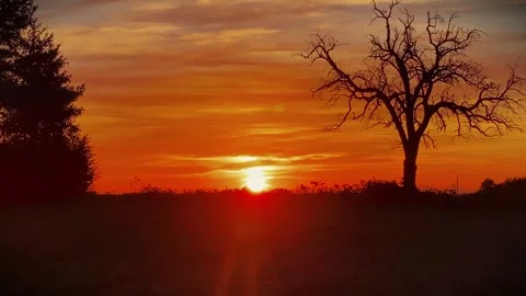 Sunset German Countryside Stock Footage 303609067