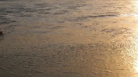 At sunset, the girl goes on the waves.  Stock Footage 107782857
