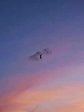 Sunset Glide Stock Photos