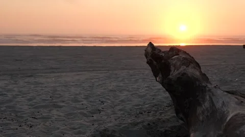 Sunset Glow at Beach, Ocean, Driftwood Stock Footage 341367406