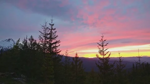 Sunset glow overcast trees and snowy mountain Mt. Hood Mt. St. Helens Video stock 81902177
