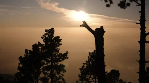 Sunset glowing above cloud layer seen from Acatenango Video stock 330877018