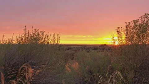 Sunset glowing orange and red behind sage brush in the great basin on the Oregon Stock Footage 81902322