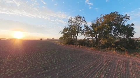Sunset glows over tilled field, casting warm light 库存影片 342590175