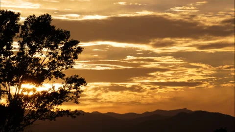 Sunset golden cloudscape behind a tree time lapse Stock Footage 130668034