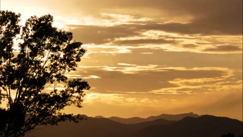 Sunset golden cloudscape behind a tree time lapse Stock Footage 130671768
