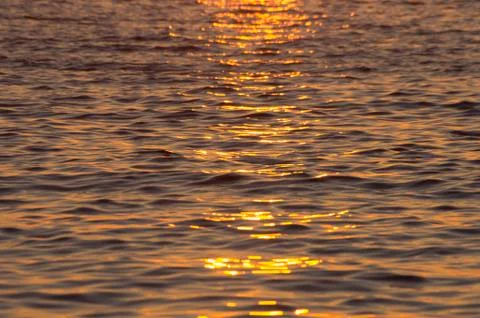 Sunset Golden Waves Stock Photos
