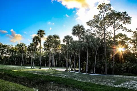 Sunset on the golf course and a banyan tree Stock Photos