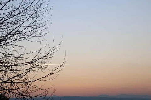 Sunset in gradient with tree on the side. Stock Photos
