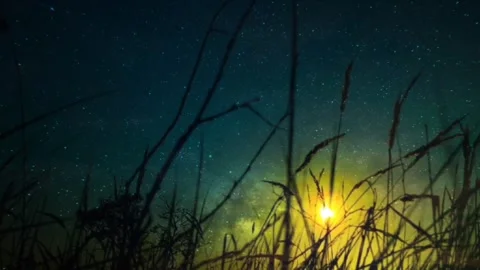Sunset in the grass accompanied by the horizon and galaxy Stock Footage 244417960
