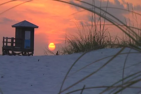 Sunset grass beach1 Stock Footage 912179