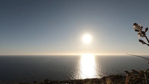 Sunset in the grass 库存影片 127514296