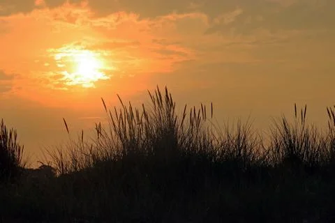 Sunset with grass in the foreground Foto stock