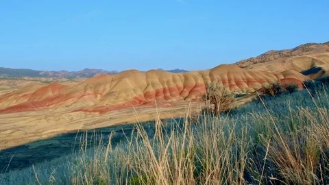 Sunset grass Painted Hills Oregon 30 Stock Footage 81902804