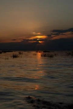 Sunset grass on river sunset landscape. Stock Photos