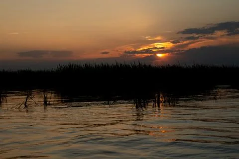 Sunset grass on river sunset landscape. Foto stock