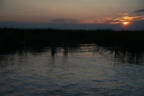 Sunset grass on river sunset landscape. Stock Photos