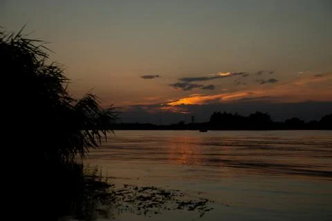 Sunset grass on river sunset landscape. Stock Photos