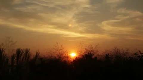 Sunset Grass Silhouette Stock Footage 12211860