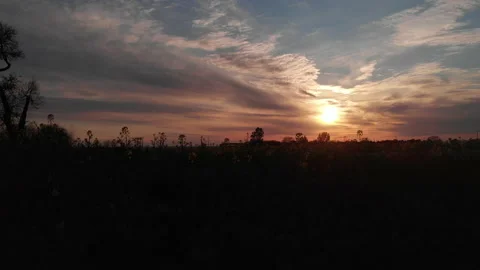 Sunset in a grassland Stock Footage 150913292