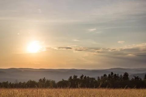 Sunset in grassy meadow Stock Photos