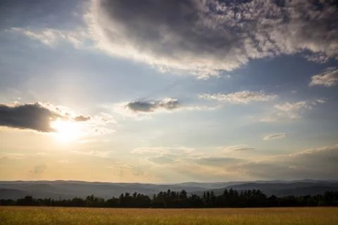 Sunset in grassy meadow Stock Photos