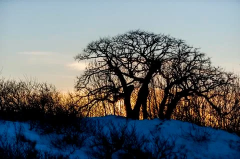 Sunset Great Marsh Stock-Fotos