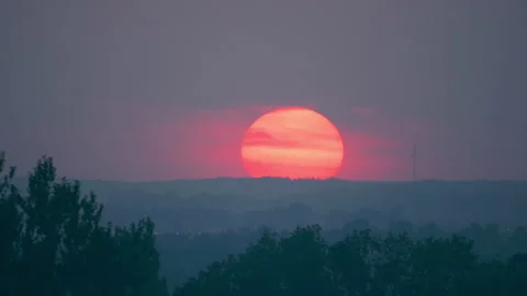 Sunset in the green city. Timelapse Stock Footage 204988434